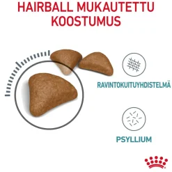 Royal Canin Kissan Kuivaruoka|Kissan Erikoisruoat*Hairball Care