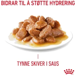 Royal Canin Kissan Märkäruoka*Hairball Care Gravy 85g, 48-pack
