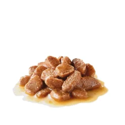 Royal Canin Kissan Märkäruoka*Hairball Care Gravy 85g, 48-pack