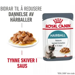 Royal Canin Kissan Märkäruoka*Hairball Care Gravy 85g, 48-pack