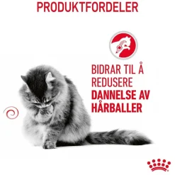 Royal Canin Kissan Märkäruoka*Hairball Care Gravy 85g, 48-pack