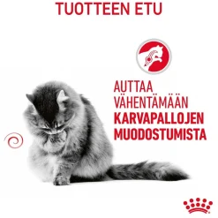 Royal Canin Kissan Märkäruoka|Kissan Erikoisruoat*Hairball Care, 12x85g