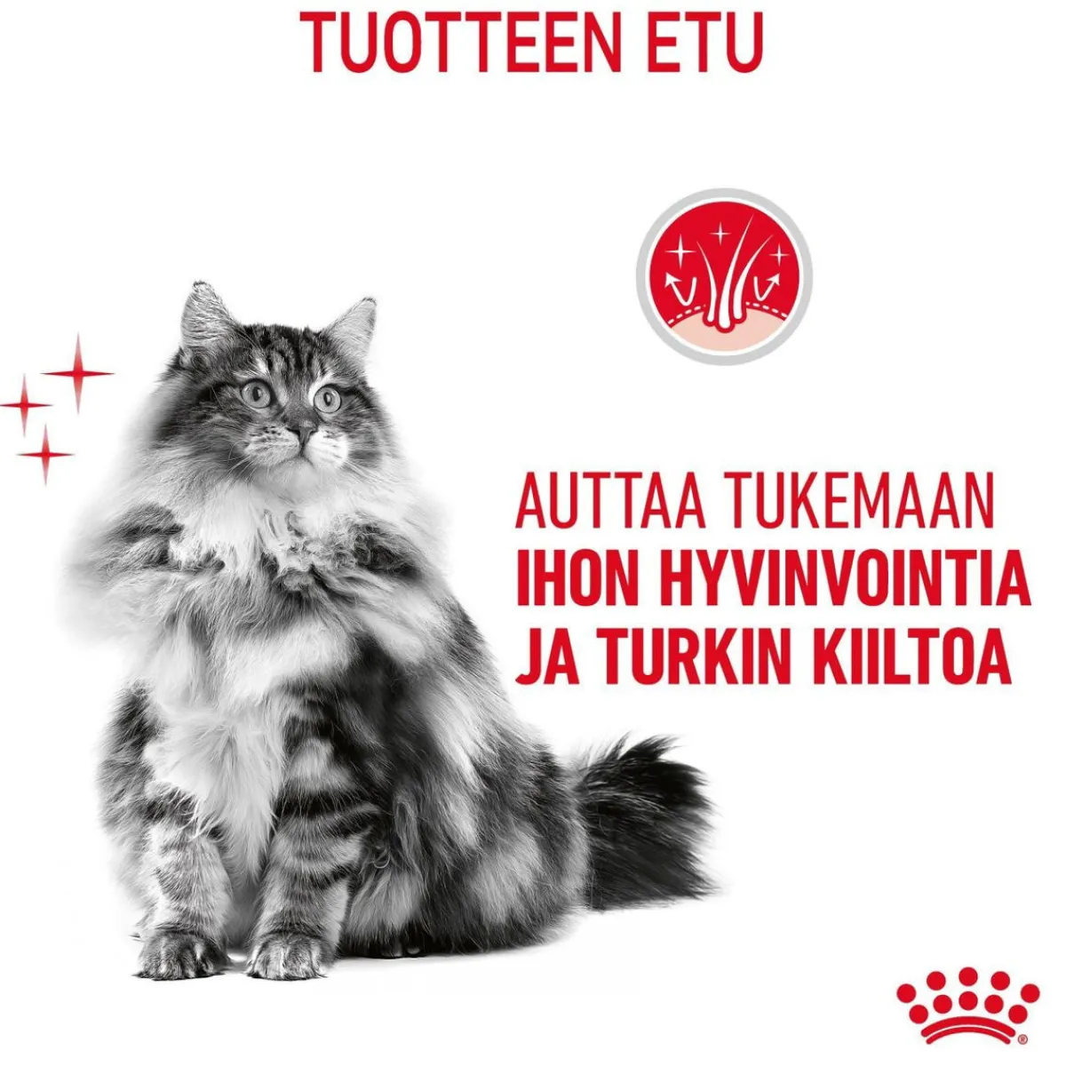 Royal Canin Kissan Märkäruoka*Hair & Skin Care Gravy 85g, 48-pack