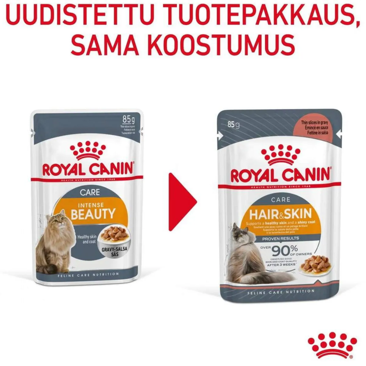 Royal Canin Kissan Märkäruoka*Hair & Skin Care Gravy 85g, 48-pack