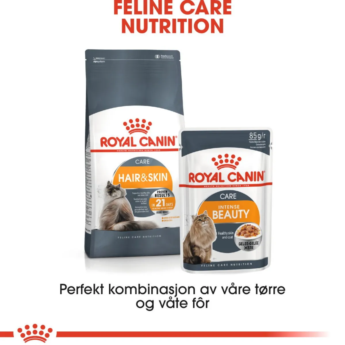 Royal Canin Kissan Märkäruoka*Hair & Skin Care Jelly 85g, 48-pack