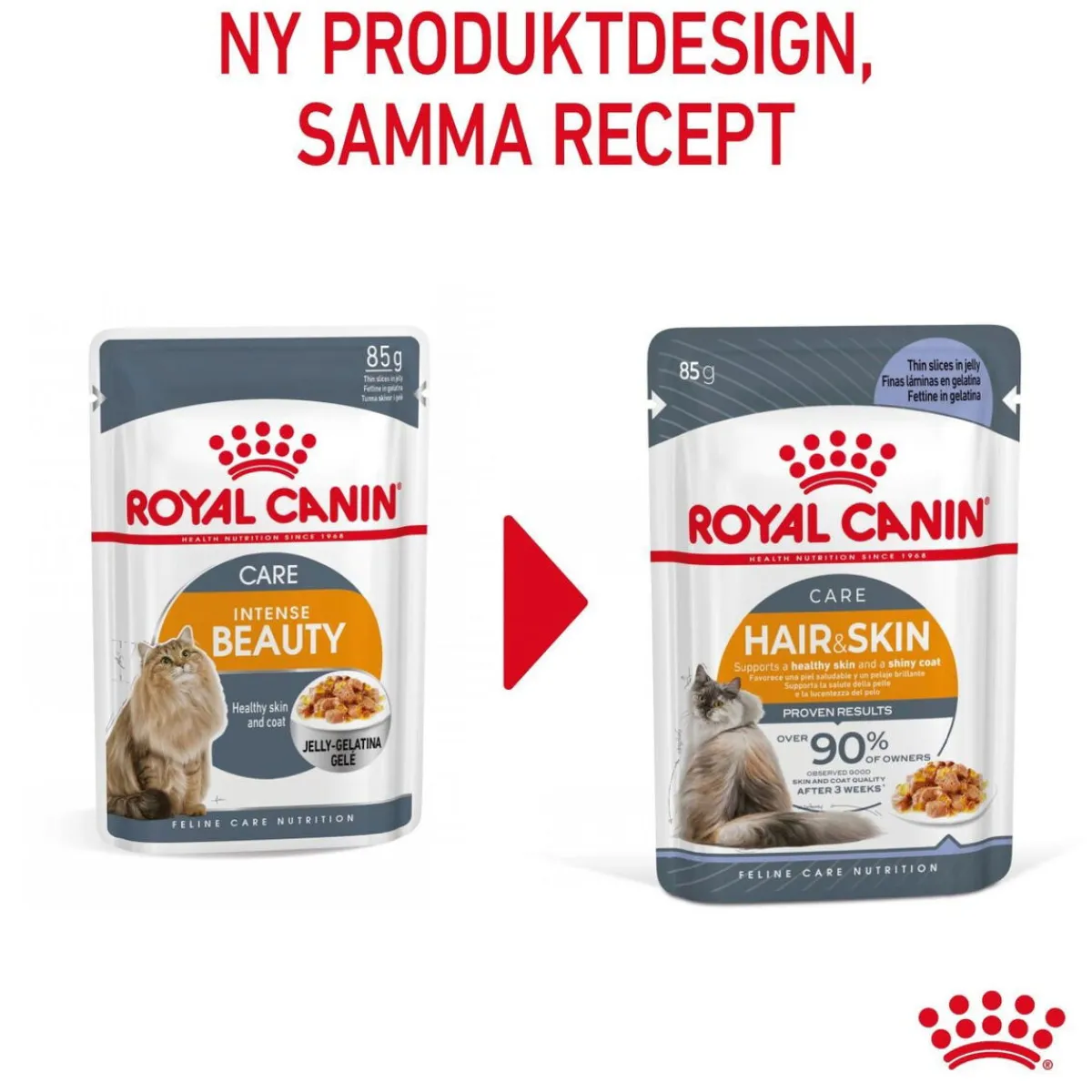 Royal Canin Kissan Märkäruoka*Hair & Skin Care Jelly 85g, 48-pack