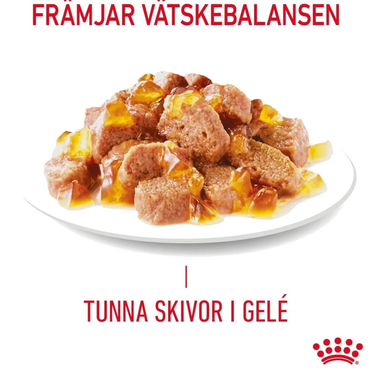 Royal Canin Kissan Märkäruoka*Hair & Skin Care Jelly 85g, 48-pack