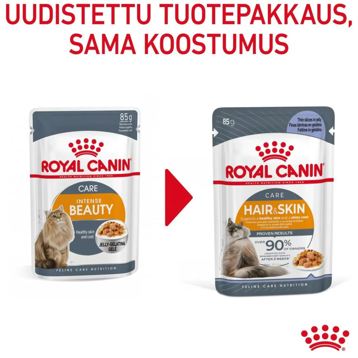 Royal Canin Kissan Märkäruoka*Hair & Skin Care Jelly 85g, 48-pack