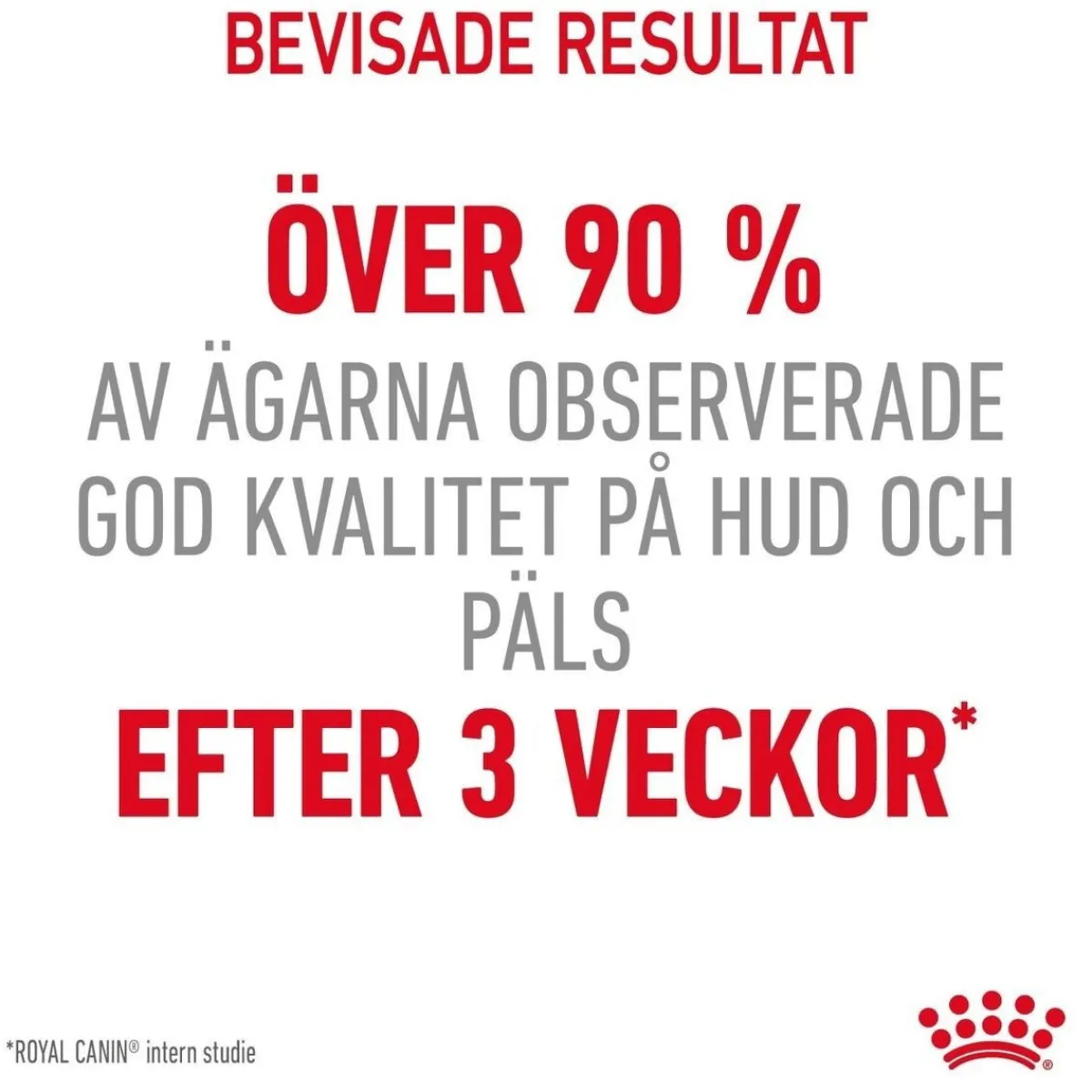Royal Canin Kissan Märkäruoka*Hair & Skin Care Jelly 85g, 48-pack