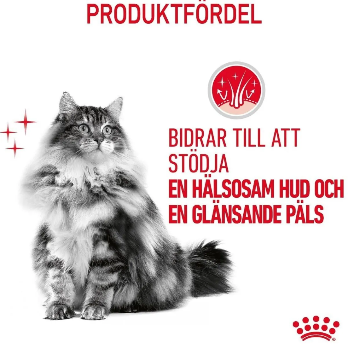 Royal Canin Kissan Märkäruoka*Hair & Skin Care Jelly 85g, 48-pack