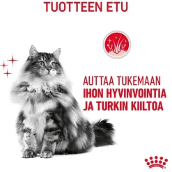 Royal Canin Kissan Märkäruoka*Hair & Skin Care Jelly 85g, 48-pack