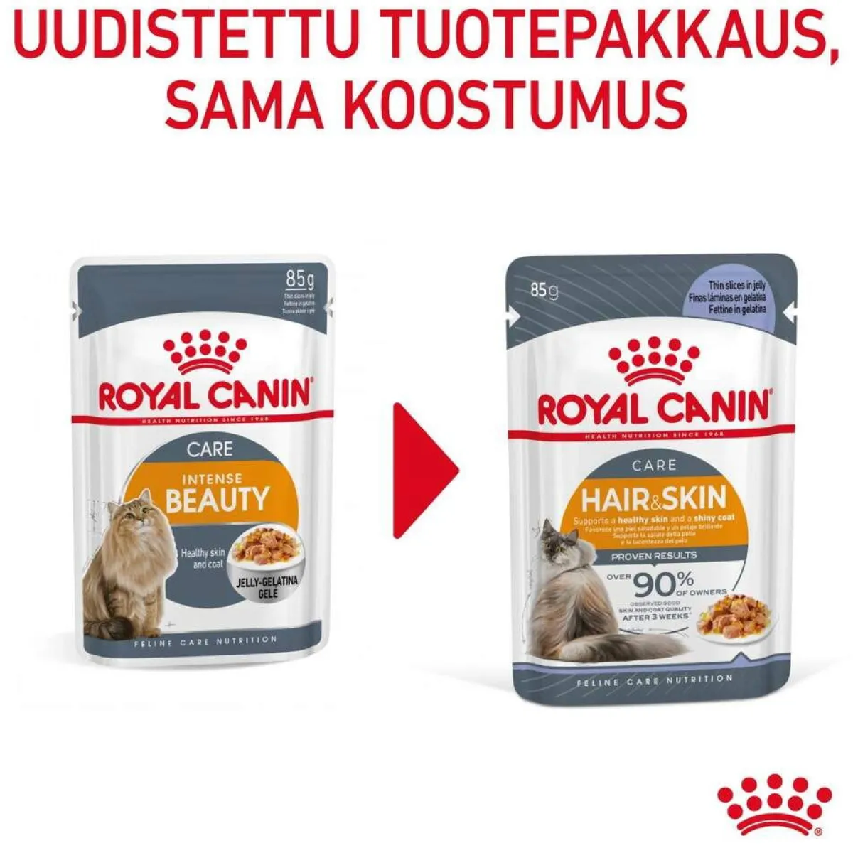Royal Canin Kissan Märkäruoka*Hair & Skin Care Jelly 85g, 48-pack