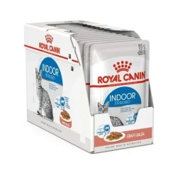 Royal Canin Kissan Märkäruoka|Kissan Erikoisruoat*Indoor Gravy 12 x 85 g