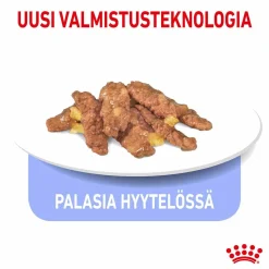 Royal Canin Kissan Märkäruoka*Indoor Jelly 85 g, 48-pack