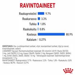 Royal Canin Kissan Märkäruoka*Indoor Jelly 85 g, 48-pack