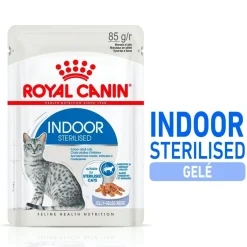 Royal Canin Kissan Märkäruoka*Indoor Jelly 85 g, 48-pack