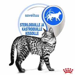 Royal Canin Kissan Märkäruoka*Indoor Jelly 85 g, 48-pack