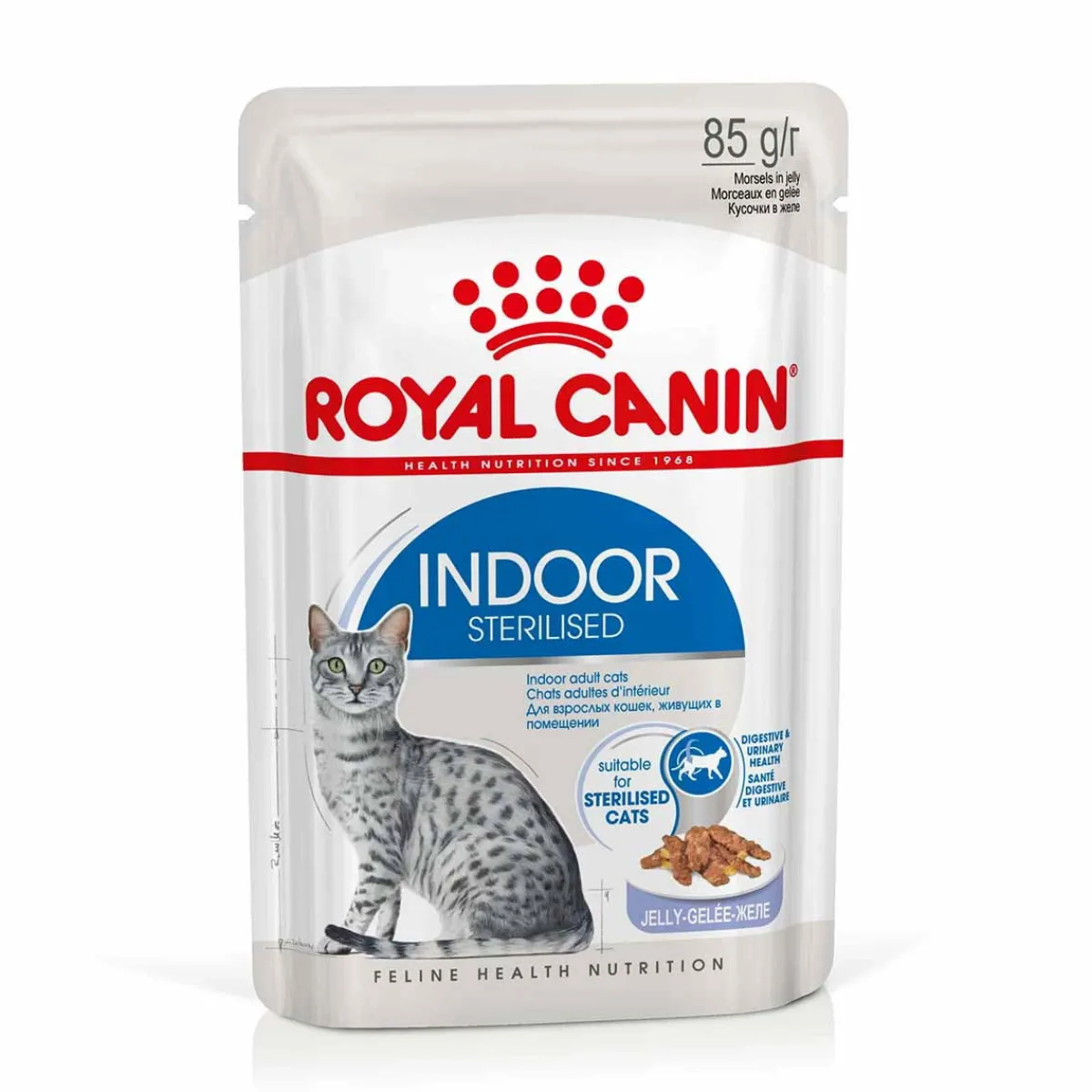 Royal Canin Kissan Märkäruoka|Kissan Erikoisruoat*Indoor Jelly 12 x 85 g