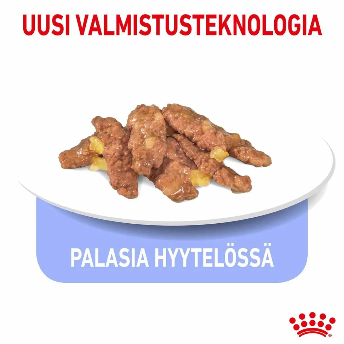 Royal Canin Kissan Märkäruoka|Kissan Erikoisruoat*Indoor Jelly 12 x 85 g