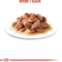 Royal Canin Kissan Märkäruoka*Instinctive 7+ Gravy 85g, 48-pack