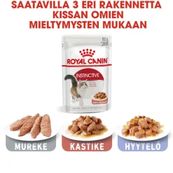 Royal Canin Kissan Märkäruoka*Instinctive Gravy 85g, 48-pack