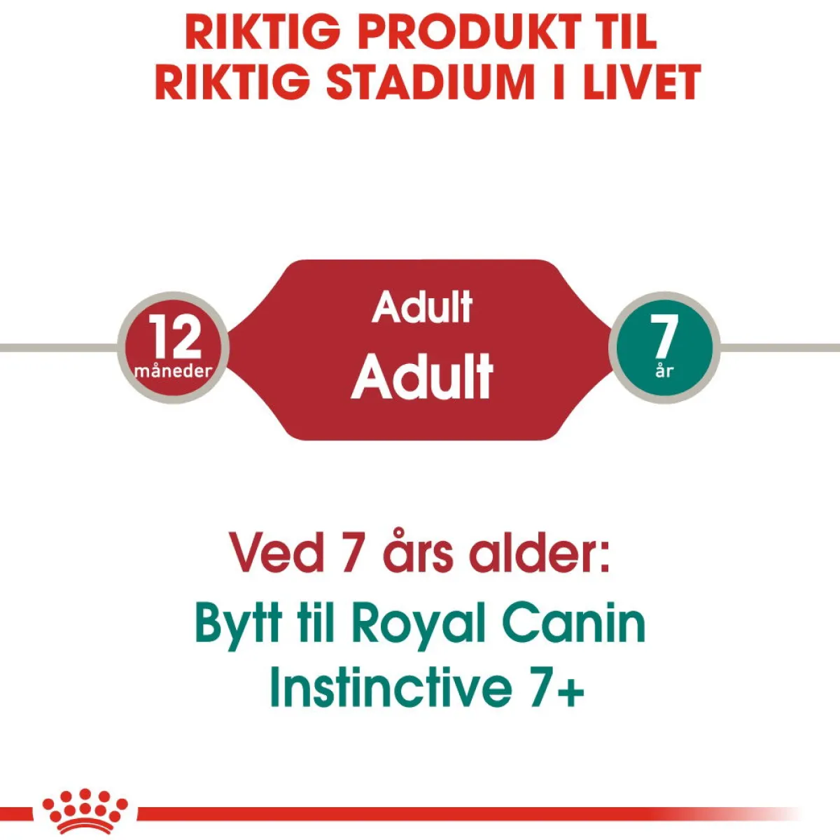 Royal Canin Kissan Märkäruoka*Instinctive Gravy 85g, 48-pack