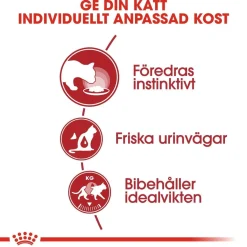 Royal Canin Kissan Märkäruoka*Instinctive Gravy 85g, 48-pack