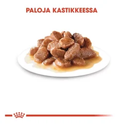Royal Canin Kissan Märkäruoka*Instinctive Gravy 85g, 48-pack