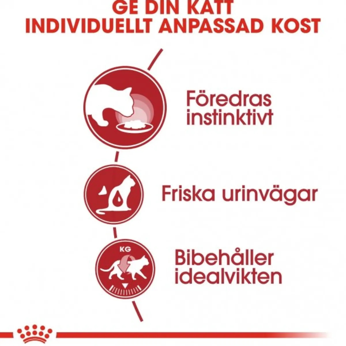 Royal Canin Kissan Märkäruoka*Instinctive Jelly 85g, 48-pack