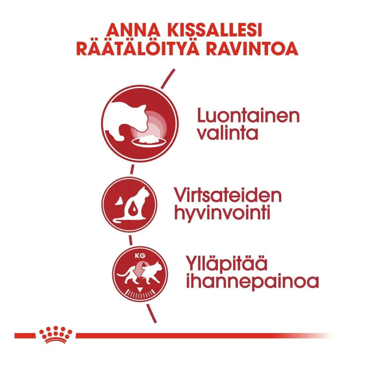 Royal Canin Kissan Märkäruoka*Instinctive Jelly 85g, 48-pack