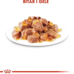 Royal Canin Kissan Märkäruoka*Instinctive Jelly 85g, 48-pack