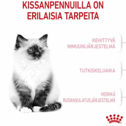 Royal Canin Kissanpennun Ruoka|Kissan Kuivaruoka*Kitten