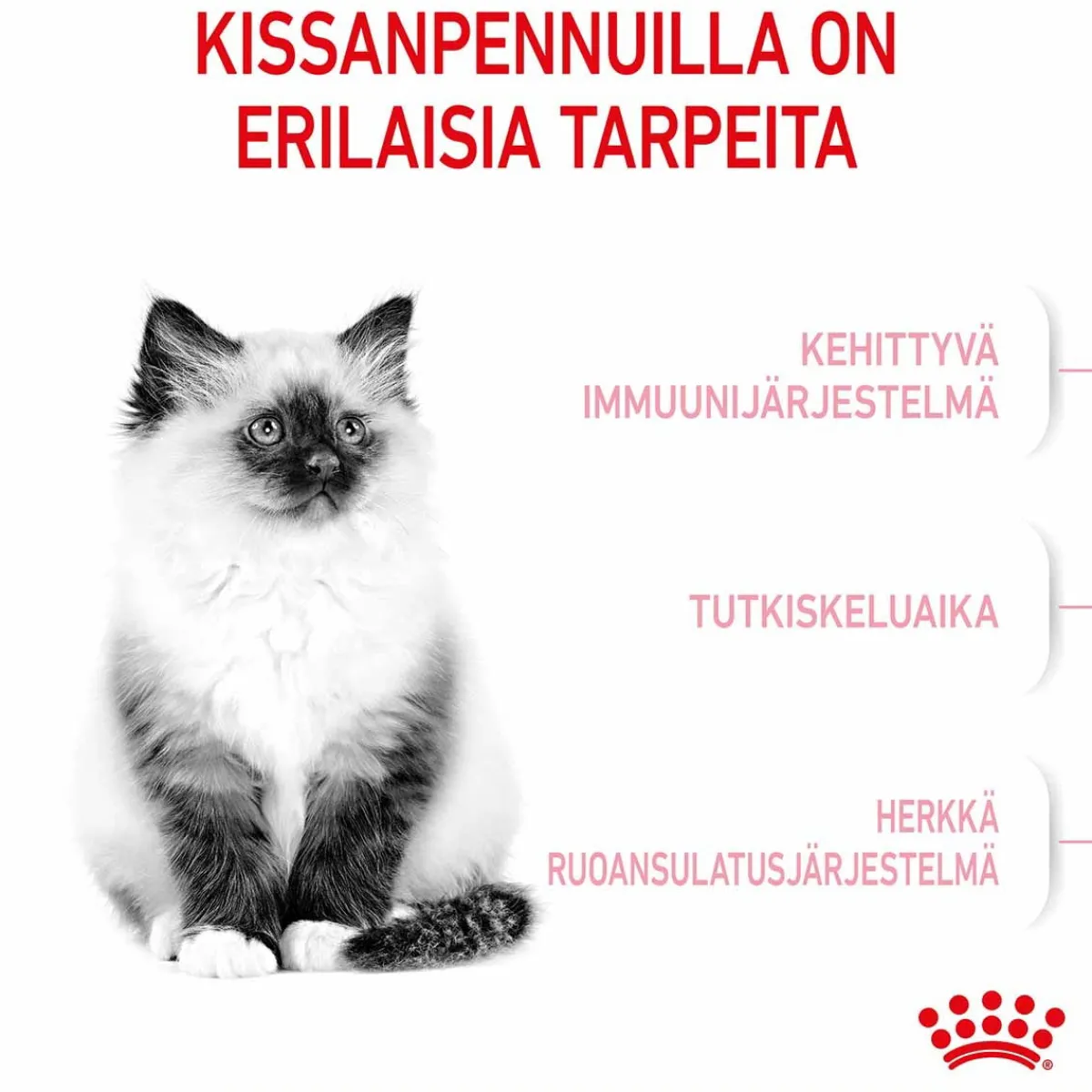 Royal Canin Kissanpennun Ruoka|Kissan Kuivaruoka*Kitten