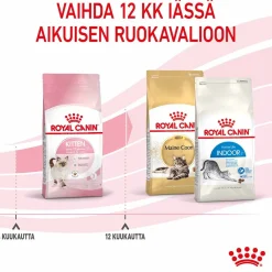 Royal Canin Kissanpennun Ruoka|Kissan Kuivaruoka*Kitten