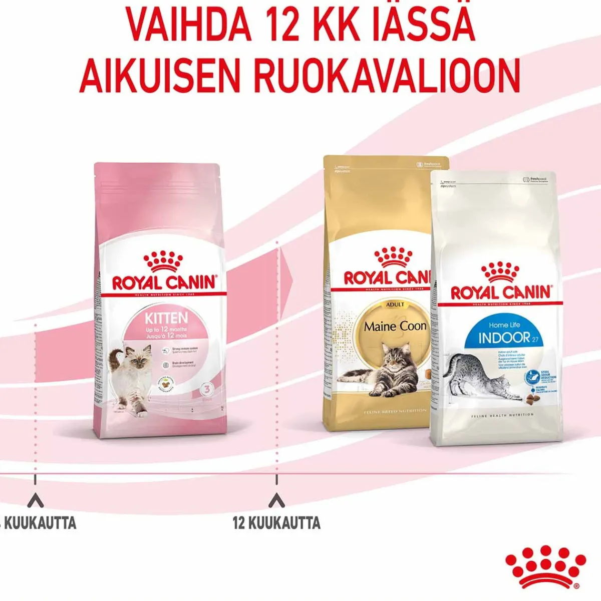 Royal Canin Kissanpennun Ruoka|Kissan Kuivaruoka*Kitten