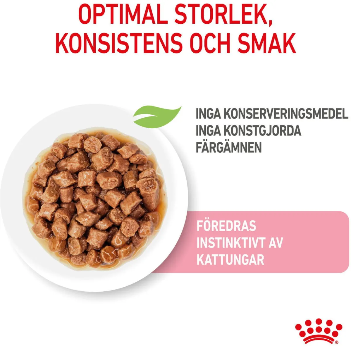 Royal Canin Kissan Märkäruoka*Kitten Gravy 85g, 48-pack