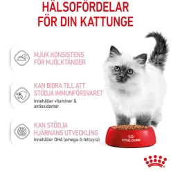 Royal Canin Kissan Märkäruoka*Kitten Gravy 85g, 48-pack
