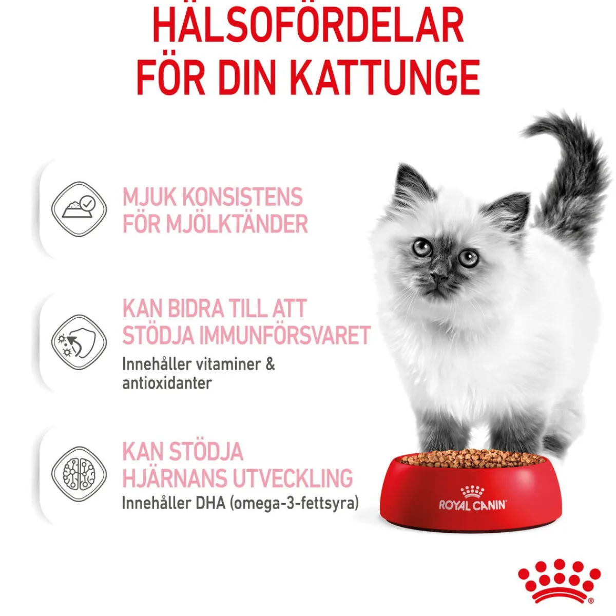 Royal Canin Kissan Märkäruoka*Kitten Gravy 85g, 48-pack
