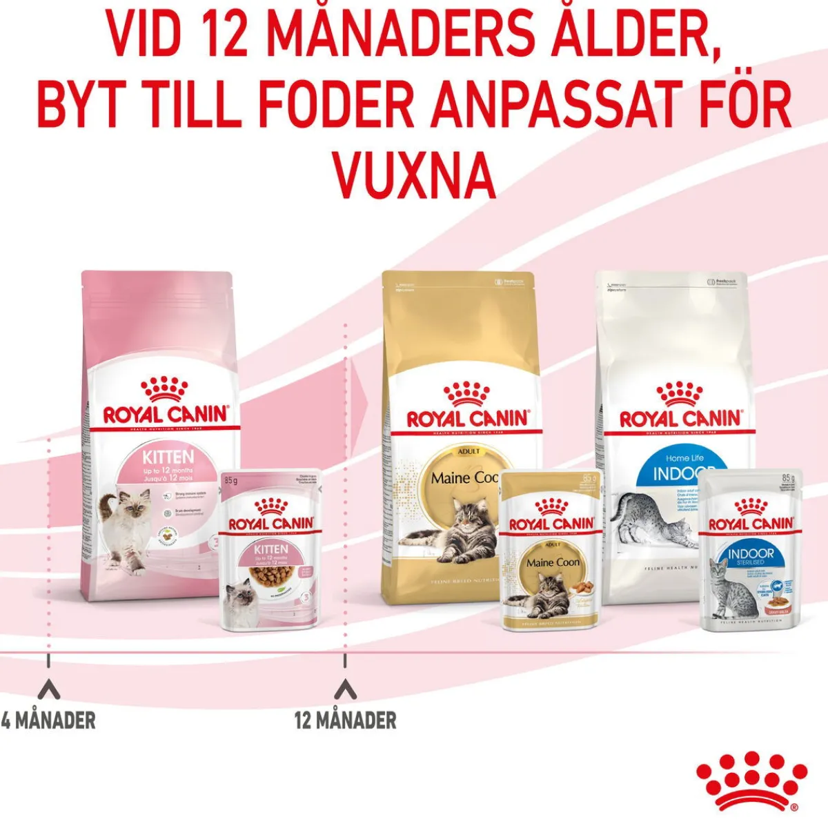 Royal Canin Kissan Märkäruoka*Kitten Gravy 85g, 48-pack