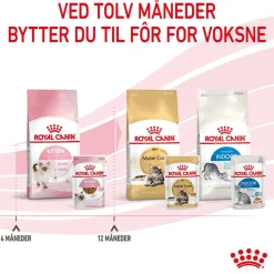 Royal Canin Kissan Märkäruoka*Kitten Gravy 85g, 48-pack