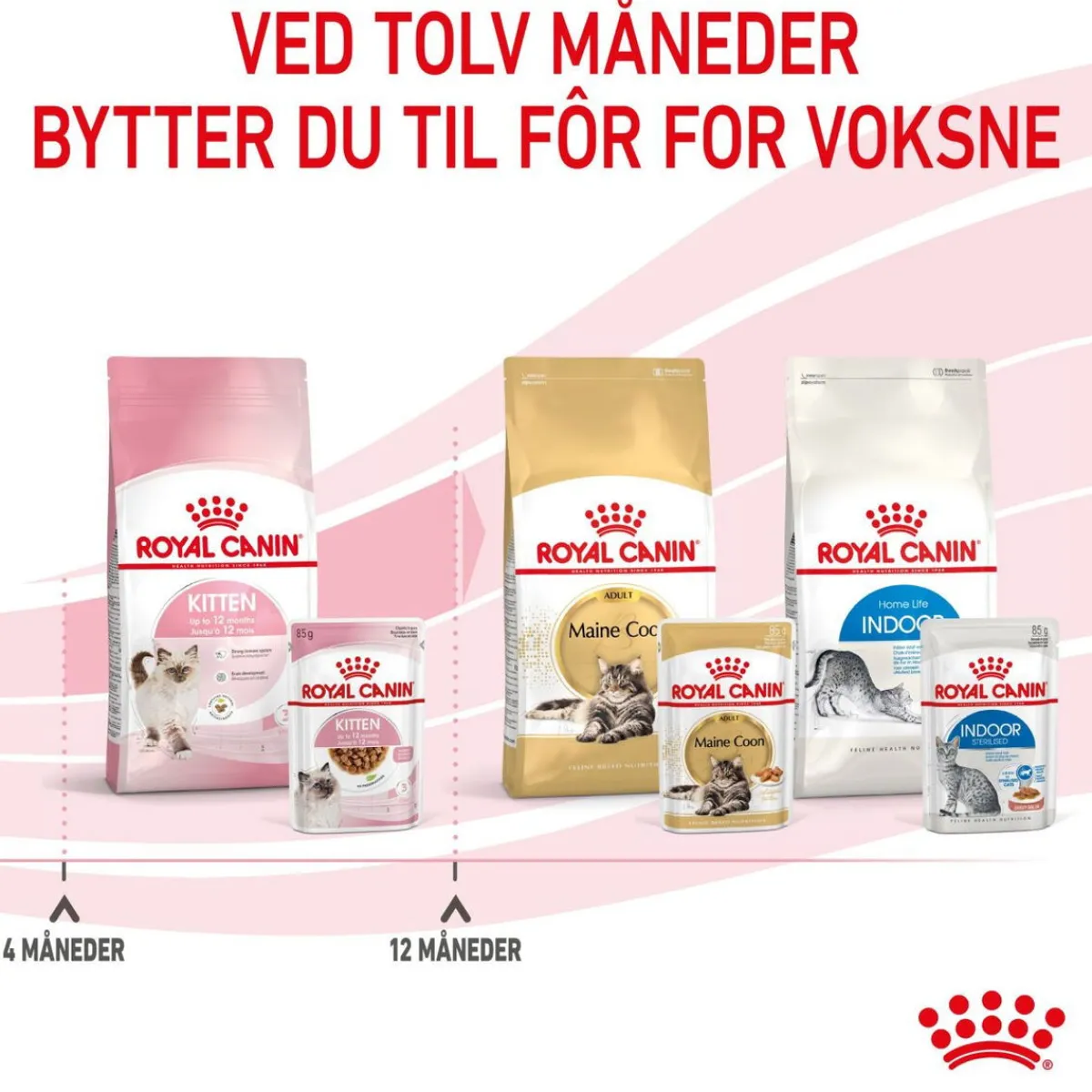 Royal Canin Kissan Märkäruoka*Kitten Gravy 85g, 48-pack