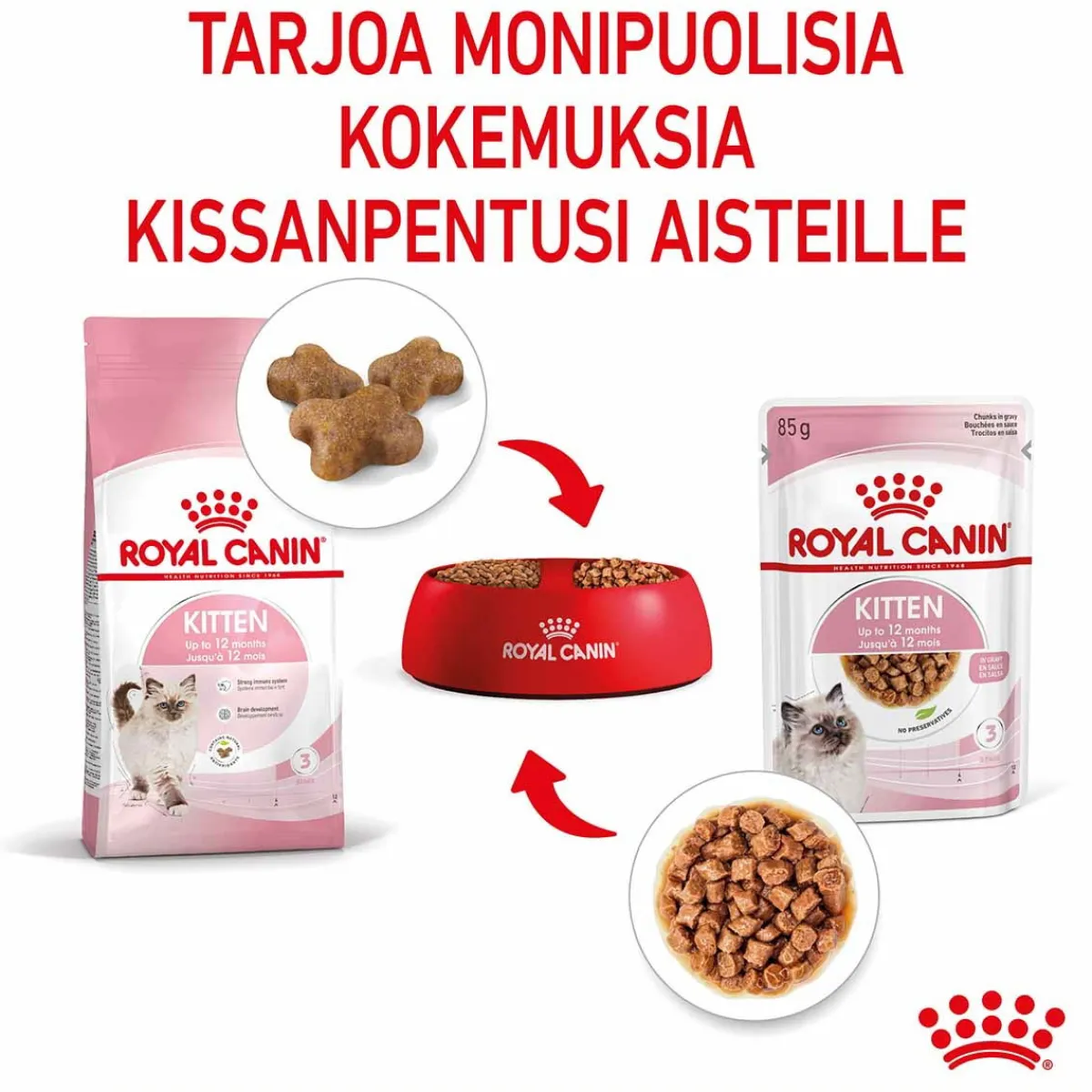 Royal Canin Kissan Märkäruoka*Kitten Gravy 85g, 48-pack