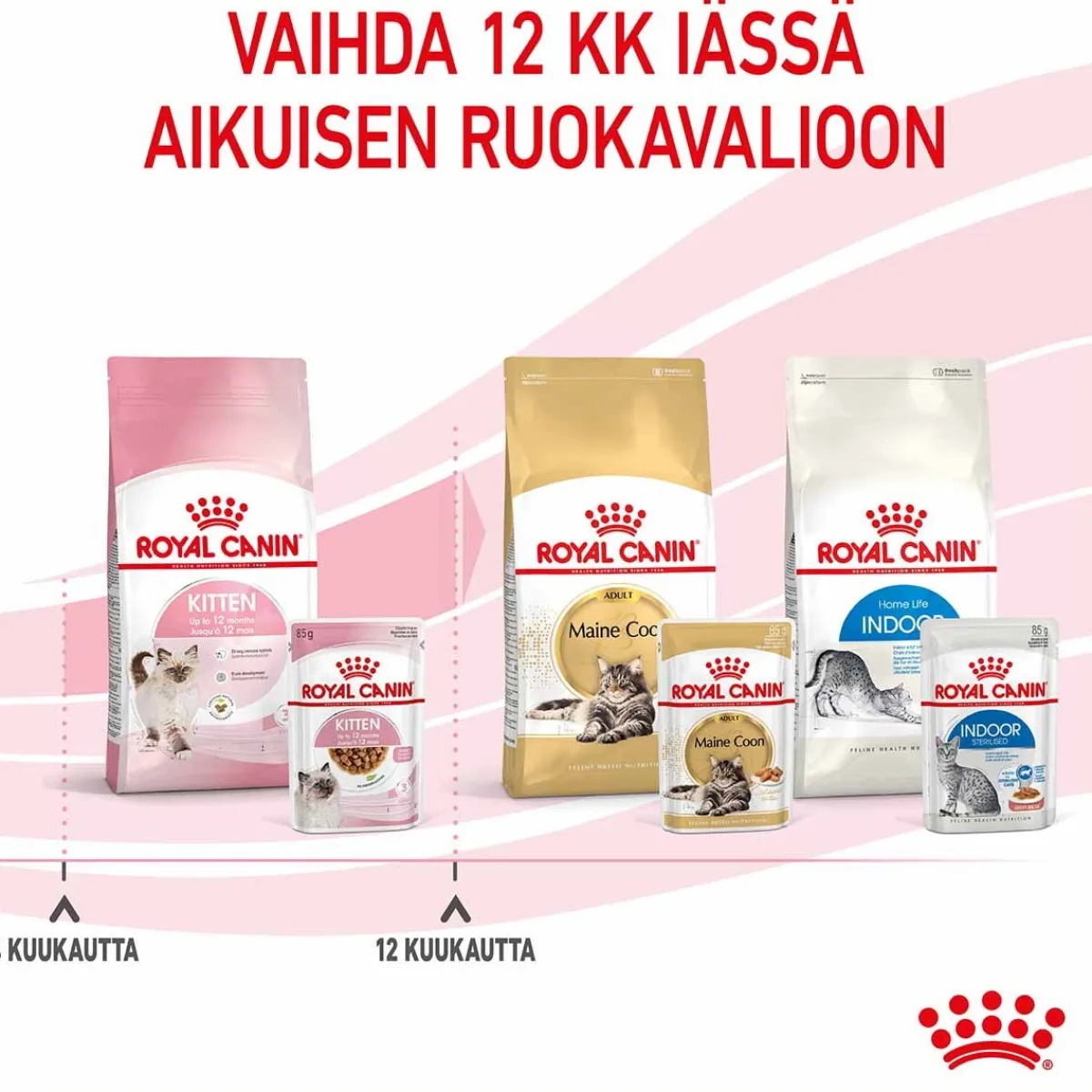 Royal Canin Kissan Märkäruoka*Kitten Gravy 85g, 48-pack