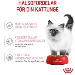 Royal Canin Kissan Märkäruoka*Kitten Gravy 85g, 48-pack