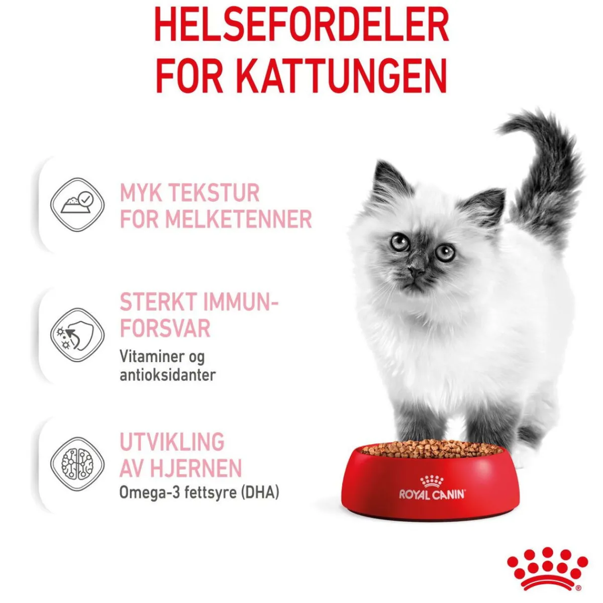 Royal Canin Kissan Märkäruoka*Kitten Gravy 85g, 48-pack