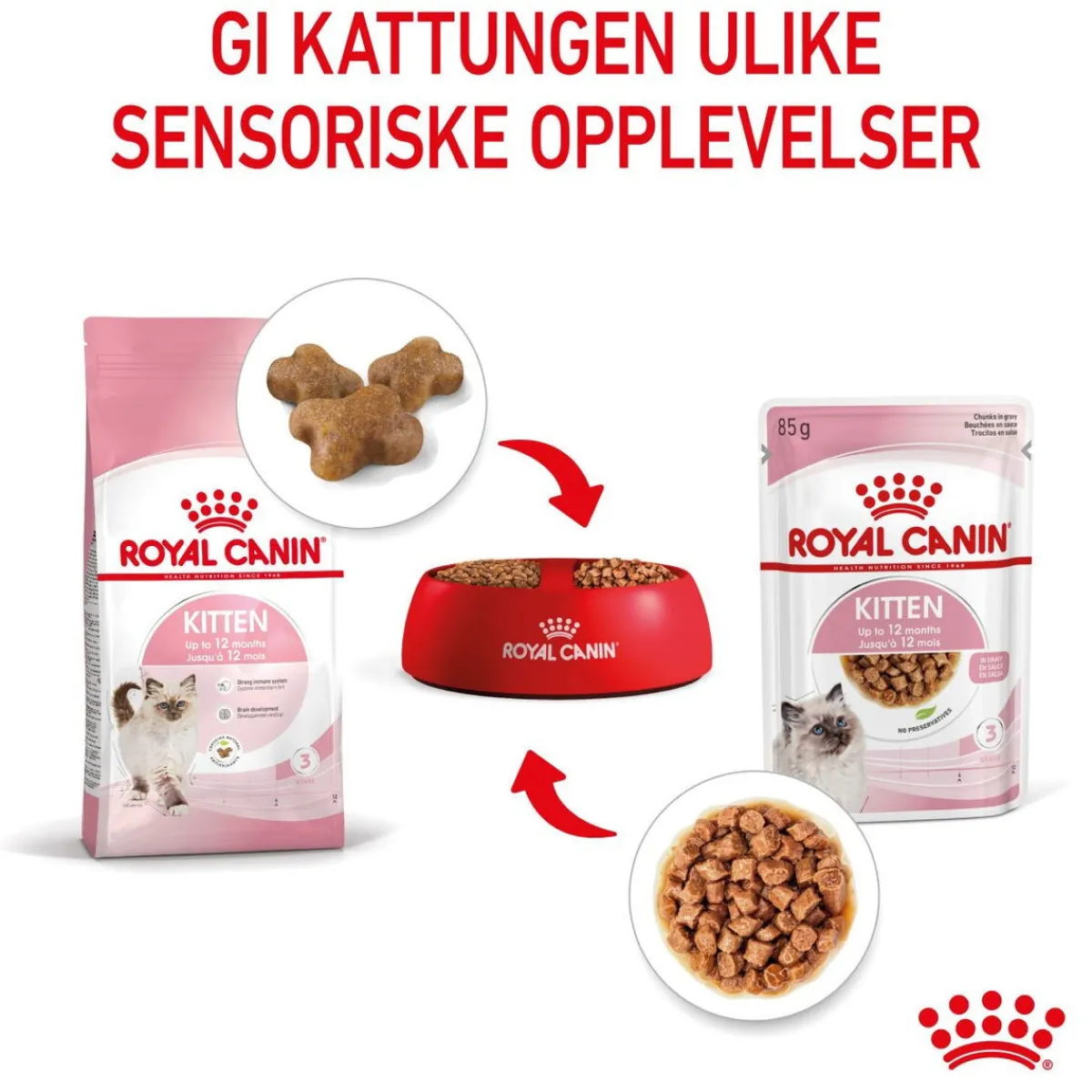 Royal Canin Kissan Märkäruoka*Kitten Gravy 85g, 48-pack