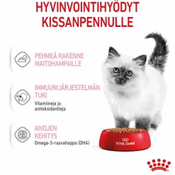 Royal Canin Kissan Märkäruoka|Kissanpennun Ruoka*Kitten Gravy, 12x85g