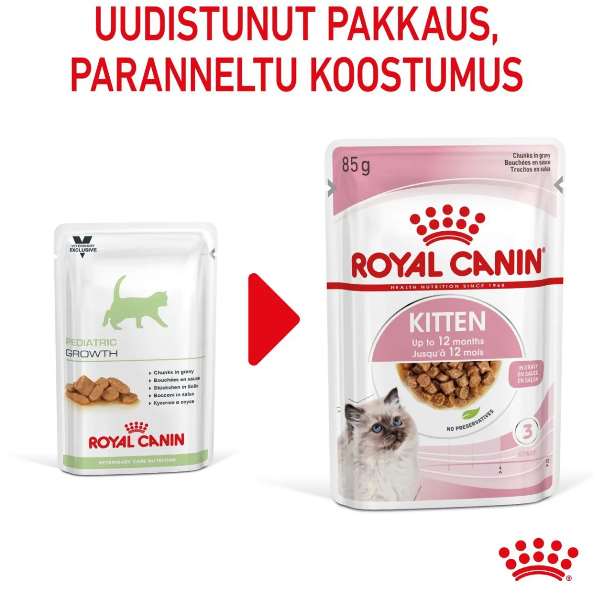 Royal Canin Kissan Märkäruoka|Kissanpennun Ruoka*Kitten Gravy, 12x85g