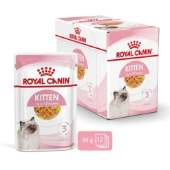 Royal Canin Kissan Märkäruoka|Kissanpennun Ruoka*Kitten Jelly, 12x85g