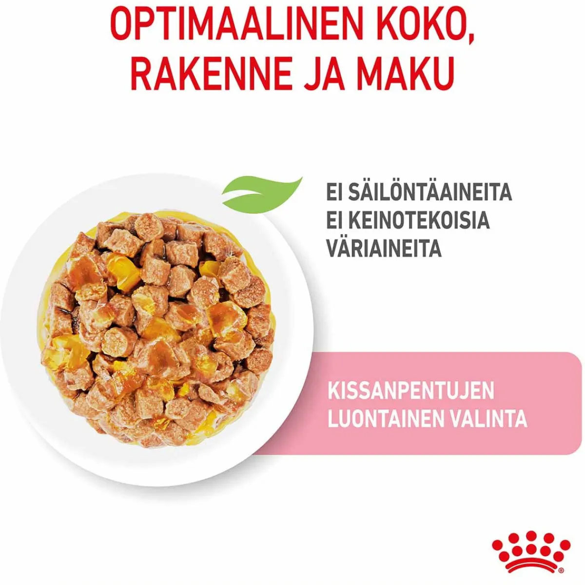 Royal Canin Kissan Märkäruoka|Kissanpennun Ruoka*Kitten Jelly, 12x85g